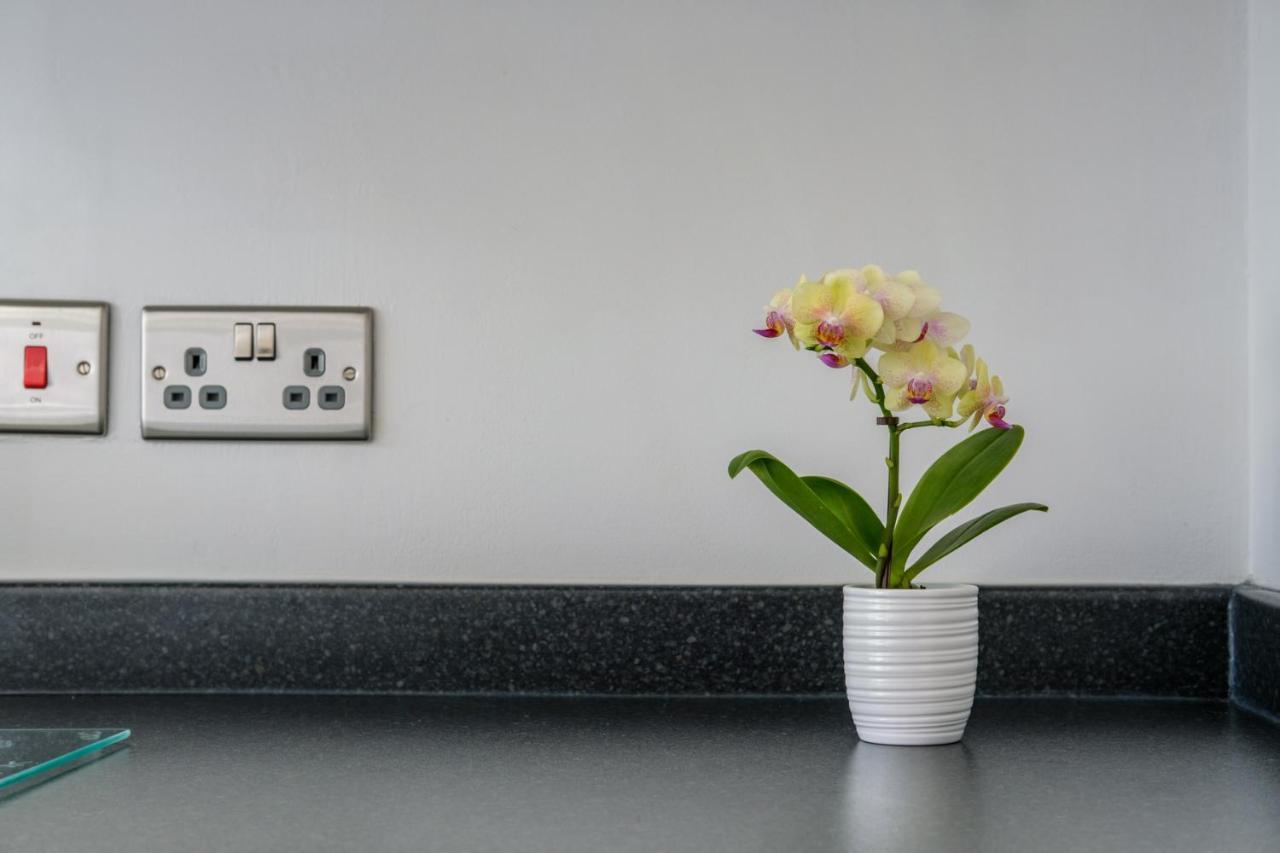 The Douglas - Spacious 2 Bed Apartment In 阿丁斯顿 外观 照片